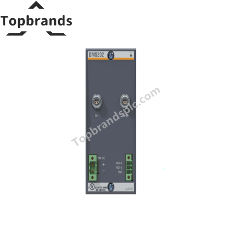 Bachmann DMS202 Strain Gauge Input Module - Topbrands PLC Limited